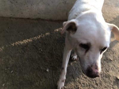 f:id:roukenhome-ann:20190118083400j:plain f:id:roukenhome-ann:20190118083400j:plain