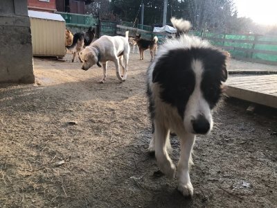 f:id:roukenhome-ann:20190118083405j:plain f:id:roukenhome-ann:20190118083405j:plain