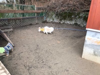 f:id:roukenhome-ann:20190118083458j:plain f:id:roukenhome-ann:20190118083458j:plain