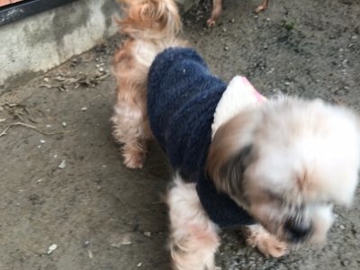f:id:roukenhome-ann:20190118083536j:plain f:id:roukenhome-ann:20190118083536j:plain