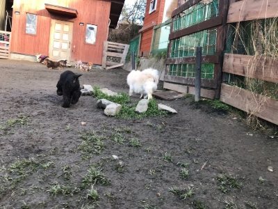 f:id:roukenhome-ann:20190118083702j:plain f:id:roukenhome-ann:20190118083702j:plain