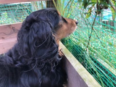 f:id:roukenhome-ann:20190118083711j:plain f:id:roukenhome-ann:20190118083711j:plain