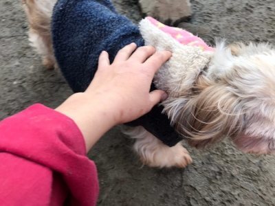 f:id:roukenhome-ann:20190118083715j:plain f:id:roukenhome-ann:20190118083715j:plain