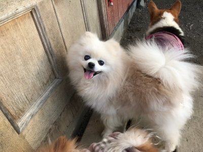 f:id:roukenhome-ann:20190118083748j:plain f:id:roukenhome-ann:20190118083748j:plain