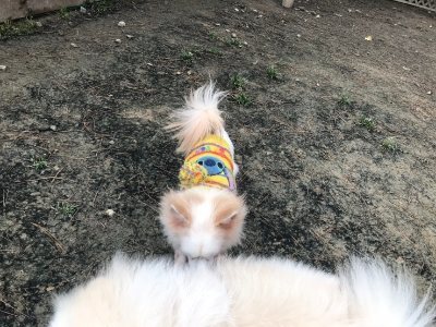 f:id:roukenhome-ann:20190118083821j:plain f:id:roukenhome-ann:20190118083821j:plain