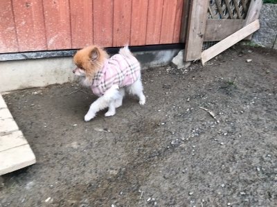 f:id:roukenhome-ann:20190118083907j:plain f:id:roukenhome-ann:20190118083907j:plain