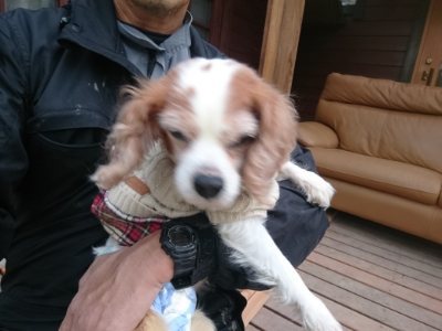 f:id:roukenhome-ann:20190118084152j:plain f:id:roukenhome-ann:20190118084152j:plain