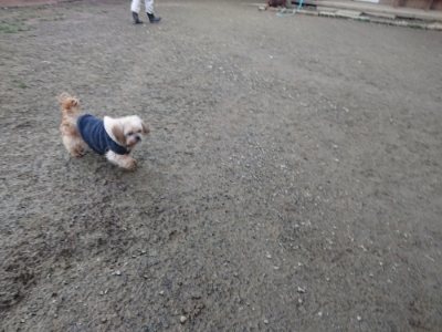 f:id:roukenhome-ann:20190118084240j:plain f:id:roukenhome-ann:20190118084240j:plain
