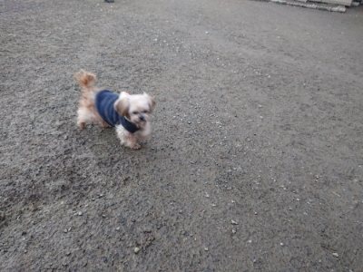 f:id:roukenhome-ann:20190118084245j:plain f:id:roukenhome-ann:20190118084245j:plain