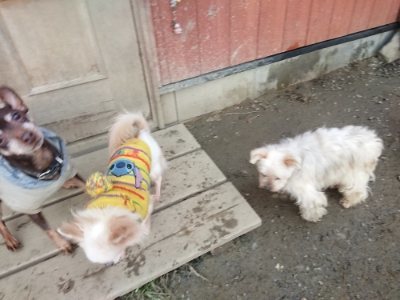 f:id:roukenhome-ann:20190118084256j:plain f:id:roukenhome-ann:20190118084256j:plain