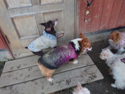f:id:roukenhome-ann:20190118084312j:plain f:id:roukenhome-ann:20190118084312j:plain