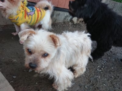f:id:roukenhome-ann:20190118084333j:plain f:id:roukenhome-ann:20190118084333j:plain