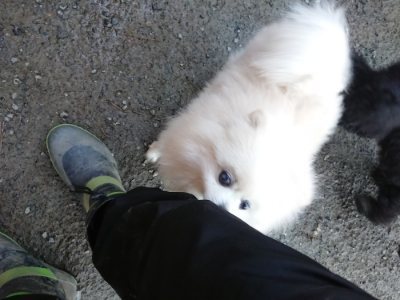 f:id:roukenhome-ann:20190118084342j:plain f:id:roukenhome-ann:20190118084342j:plain