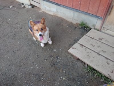 f:id:roukenhome-ann:20190118084346j:plain f:id:roukenhome-ann:20190118084346j:plain