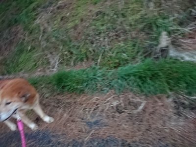 f:id:roukenhome-ann:20190118084355j:plain f:id:roukenhome-ann:20190118084355j:plain