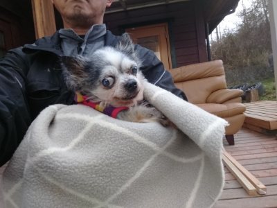 f:id:roukenhome-ann:20190118084400j:plain f:id:roukenhome-ann:20190118084400j:plain