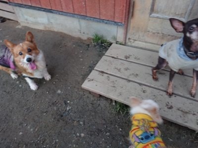 f:id:roukenhome-ann:20190118084415j:plain f:id:roukenhome-ann:20190118084415j:plain