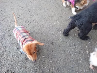 f:id:roukenhome-ann:20190118084425j:plain f:id:roukenhome-ann:20190118084425j:plain