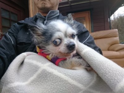 f:id:roukenhome-ann:20190118084430j:plain f:id:roukenhome-ann:20190118084430j:plain