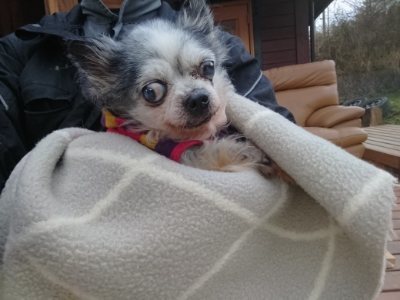 f:id:roukenhome-ann:20190118084434j:plain f:id:roukenhome-ann:20190118084434j:plain