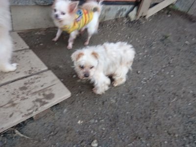 f:id:roukenhome-ann:20190118084702j:plain f:id:roukenhome-ann:20190118084702j:plain