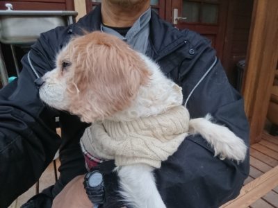 f:id:roukenhome-ann:20190118084724j:plain f:id:roukenhome-ann:20190118084724j:plain