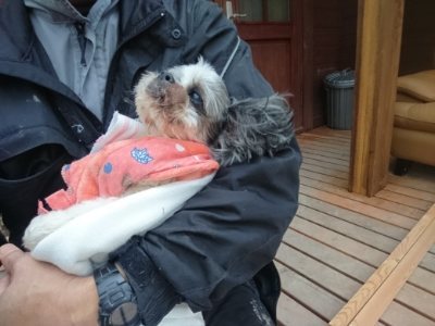 f:id:roukenhome-ann:20190118084731j:plain f:id:roukenhome-ann:20190118084731j:plain