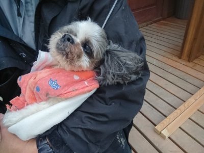 f:id:roukenhome-ann:20190118084736j:plain f:id:roukenhome-ann:20190118084736j:plain