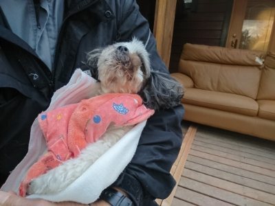 f:id:roukenhome-ann:20190118084742j:plain f:id:roukenhome-ann:20190118084742j:plain
