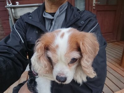 f:id:roukenhome-ann:20190118084804j:plain f:id:roukenhome-ann:20190118084804j:plain