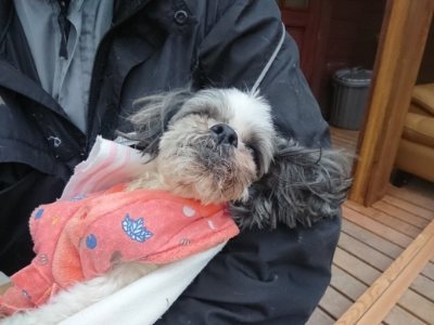 f:id:roukenhome-ann:20190118084808j:plain f:id:roukenhome-ann:20190118084808j:plain