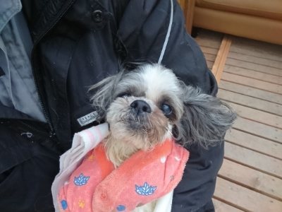 f:id:roukenhome-ann:20190118084829j:plain f:id:roukenhome-ann:20190118084829j:plain
