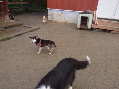 f:id:roukenhome-ann:20190118211256j:plain f:id:roukenhome-ann:20190118211256j:plain