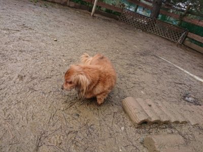 f:id:roukenhome-ann:20190118211330j:plain f:id:roukenhome-ann:20190118211330j:plain