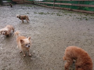 f:id:roukenhome-ann:20190118211337j:plain f:id:roukenhome-ann:20190118211337j:plain