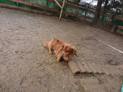 f:id:roukenhome-ann:20190118211505j:plain f:id:roukenhome-ann:20190118211505j:plain