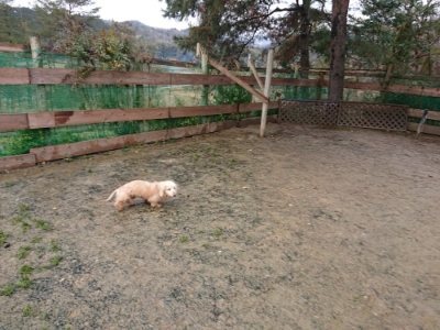 f:id:roukenhome-ann:20190118212152j:plain f:id:roukenhome-ann:20190118212152j:plain