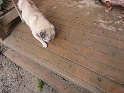 f:id:roukenhome-ann:20190118212243j:plain f:id:roukenhome-ann:20190118212243j:plain