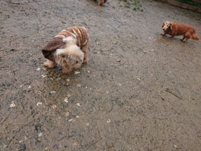 f:id:roukenhome-ann:20190118212459j:plain f:id:roukenhome-ann:20190118212459j:plain