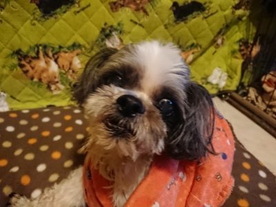 f:id:roukenhome-ann:20190118212543j:plain f:id:roukenhome-ann:20190118212543j:plain