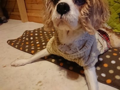 f:id:roukenhome-ann:20190118212554j:plain f:id:roukenhome-ann:20190118212554j:plain