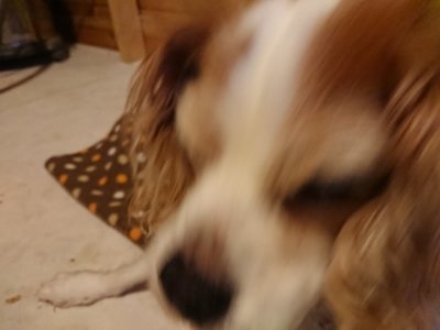 f:id:roukenhome-ann:20190118213958j:plain f:id:roukenhome-ann:20190118213958j:plain