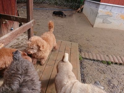 f:id:roukenhome-ann:20190118214133j:plain f:id:roukenhome-ann:20190118214133j:plain
