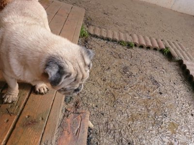 f:id:roukenhome-ann:20190118214144j:plain f:id:roukenhome-ann:20190118214144j:plain