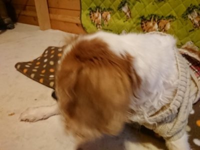 f:id:roukenhome-ann:20190118214247j:plain f:id:roukenhome-ann:20190118214247j:plain
