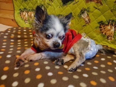 f:id:roukenhome-ann:20190118214302j:plain f:id:roukenhome-ann:20190118214302j:plain