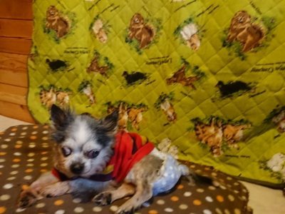 f:id:roukenhome-ann:20190118214314j:plain f:id:roukenhome-ann:20190118214314j:plain