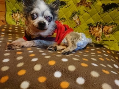 f:id:roukenhome-ann:20190118214320j:plain f:id:roukenhome-ann:20190118214320j:plain