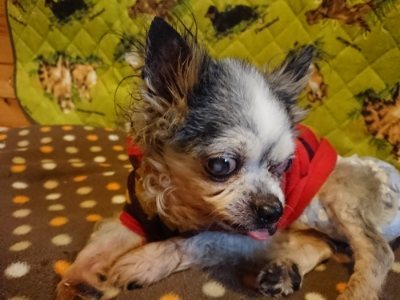 f:id:roukenhome-ann:20190118214325j:plain f:id:roukenhome-ann:20190118214325j:plain