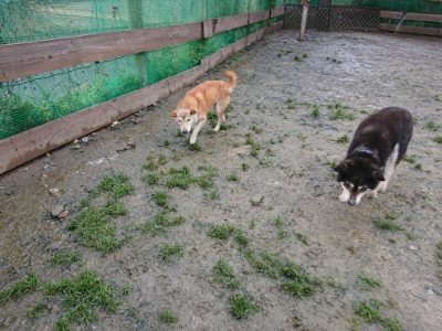 f:id:roukenhome-ann:20190119052153j:plain f:id:roukenhome-ann:20190119052153j:plain